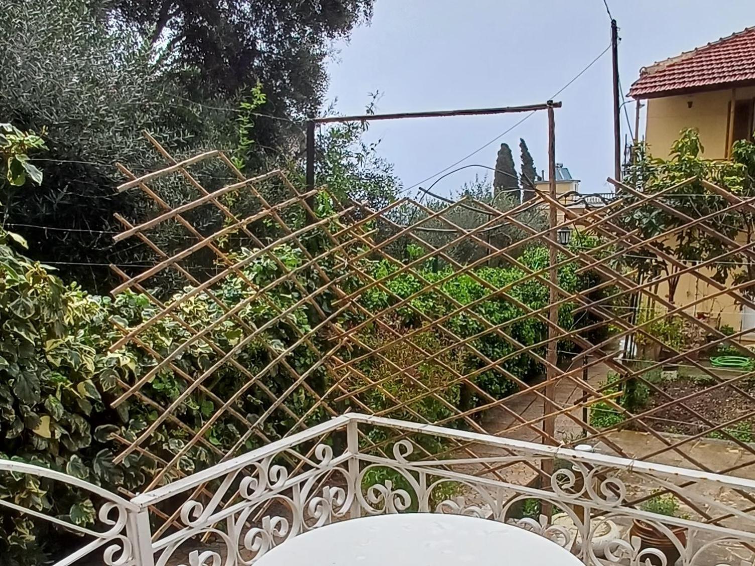 Flora Studios Corfu - Adults Only Benitses  Luaran gambar