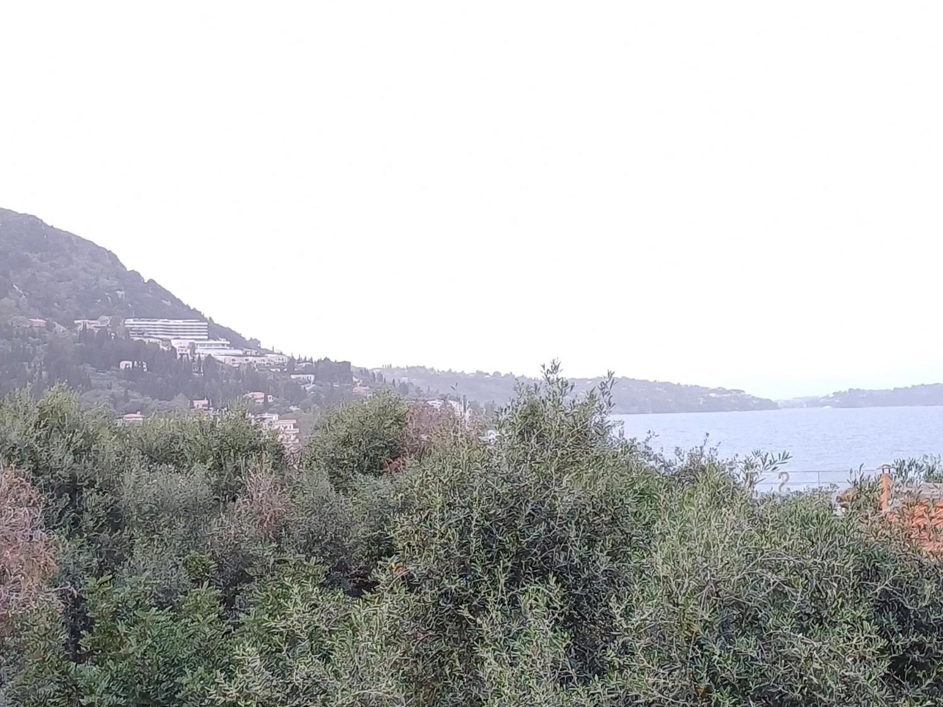 Flora Studios Corfu - Adults Only Benitses  Bilik gambar